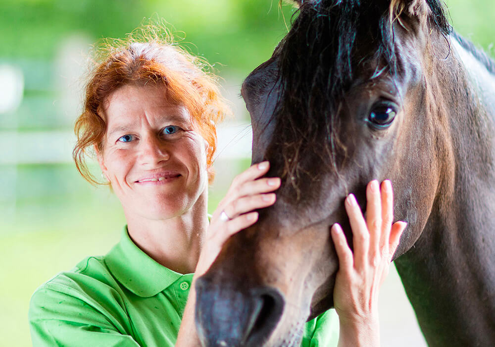 Interaction entre un participant et un cheval, illustrant une approche unique à institut du ressenti