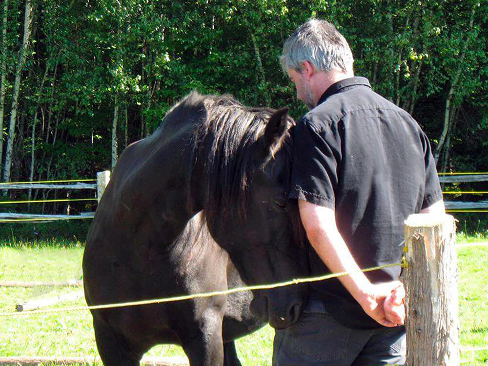 Programme utilisant l'interaction avec les chevaux pour renforcer les acquis du programme de 16 jours à institut du ressenti.