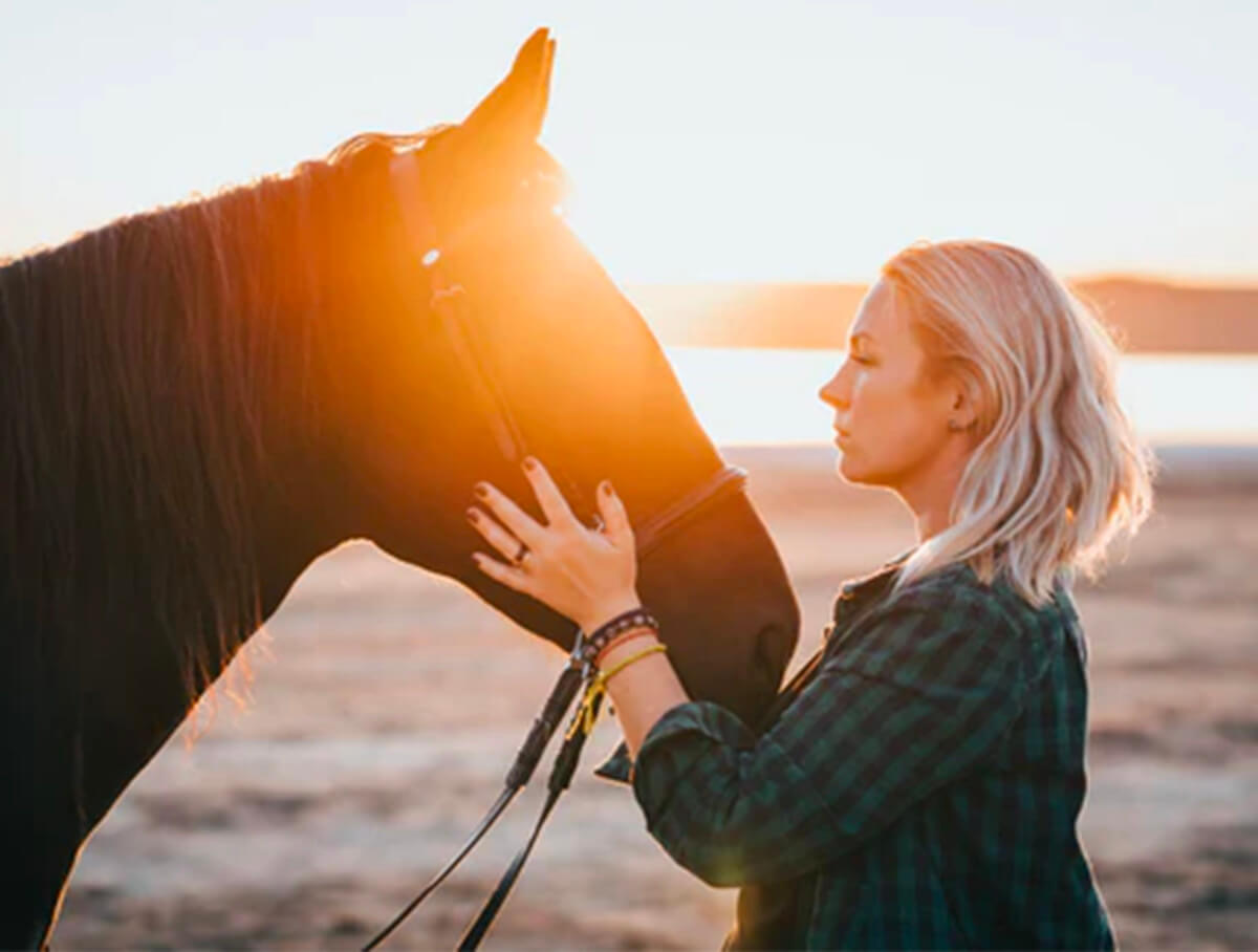 Chevaux aidant à libérer les émotions et les traumatismes à l'institut du ressenti.