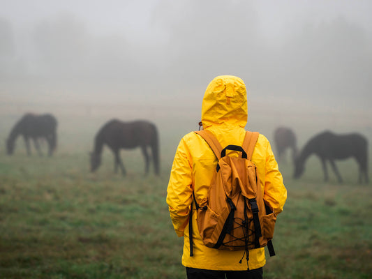 Se libérer des ses émotions, institut du ressentit