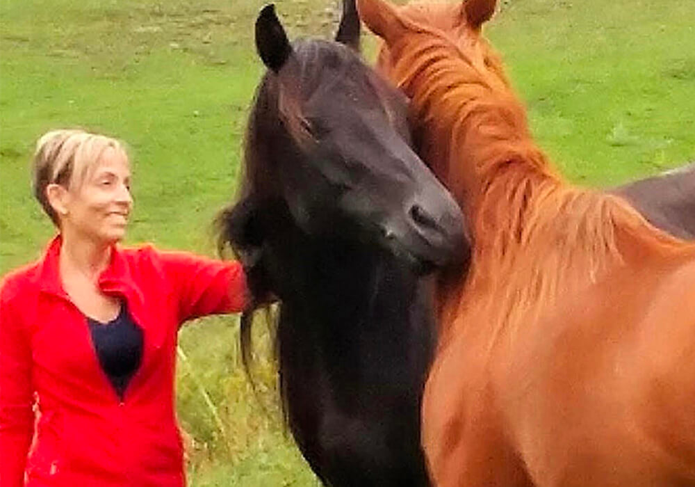 Communication et intervention assistées par le cheval à institut du ressenti