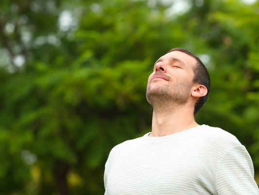 Atelier utilisant  les chevaux pour renforcer l'intégration des acquis à institut du ressenti.