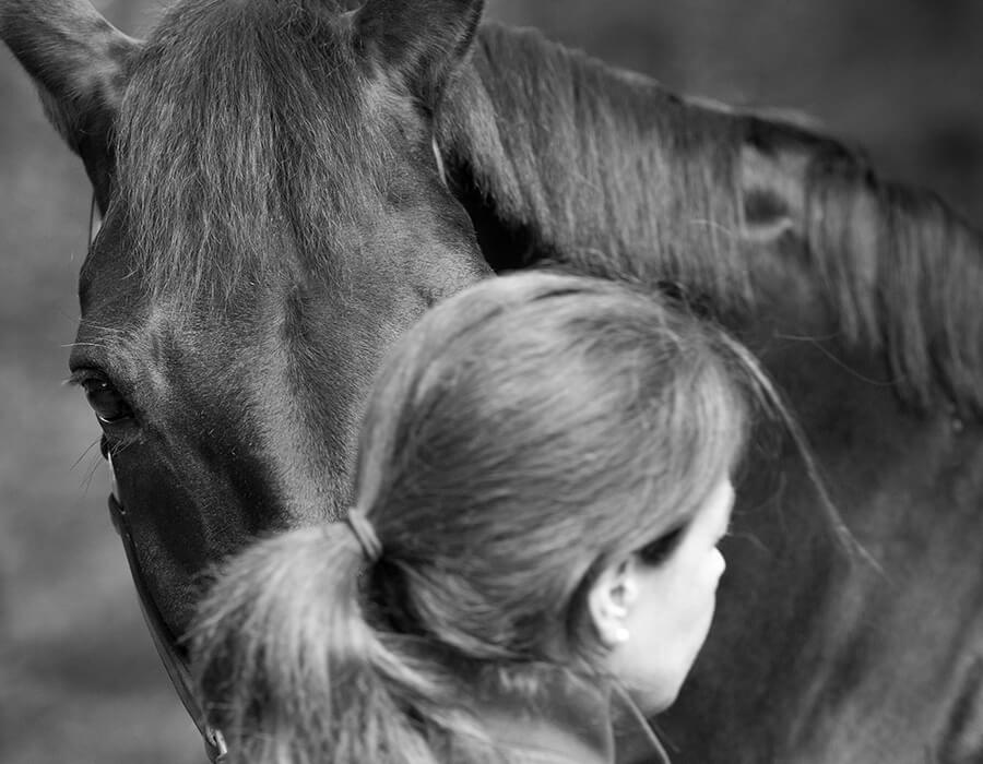 Ateliers thérapeutiques assistés par le cheval qui se déroulent à l'extérieur en pleine nature à institut du ressenti