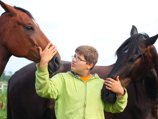 Avoir un enfant autiste (TSA), Institut du Ressenti