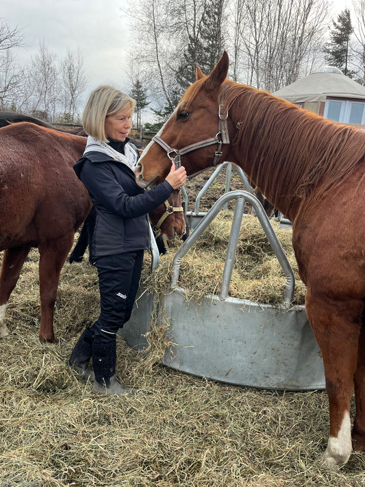 Journée portes ouvertes